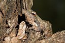 BUITEN BEELD Foto: 42974