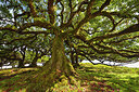 BUITEN BEELD Foto: 429049