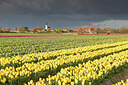 BUITEN BEELD Foto: 429847