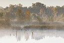 BUITEN BEELD Foto: 430173