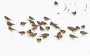 BUITEN BEELD Foto: 430231