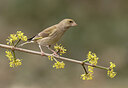 BUITEN BEELD Foto: 430685