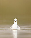 BUITEN BEELD Foto: 431639