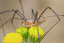 BUITEN BEELD Foto: 431780