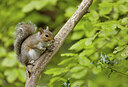 BUITEN BEELD Foto: 431835