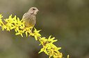 BUITEN BEELD Foto: 431915