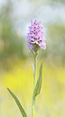 BUITEN BEELD Foto: 431919