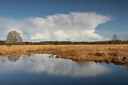 BUITEN BEELD Foto: 432025