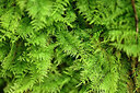 BUITEN BEELD Foto: 432111