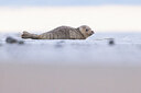 BUITEN BEELD Foto: 432205
