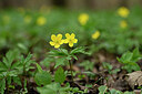 BUITEN BEELD Foto: 432648