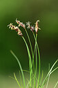 BUITEN BEELD Foto: 432850