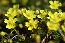 BUITEN BEELD Foto: 432943
