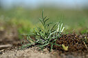 BUITEN BEELD Foto: 432971