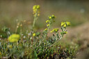 BUITEN BEELD Foto: 432972