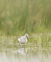 BUITEN BEELD Foto: 433098