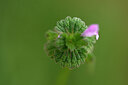 BUITEN BEELD Foto: 433240