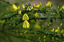 BUITEN BEELD Foto: 433305