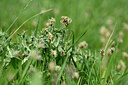 BUITEN BEELD Foto: 433342
