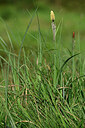 BUITEN BEELD Foto: 433409