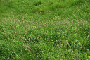 BUITEN BEELD Foto: 433439