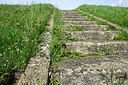 BUITEN BEELD Foto: 433448
