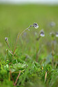 BUITEN BEELD Foto: 433742