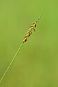 BUITEN BEELD Foto: 434158
