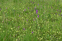 BUITEN BEELD Foto: 434299