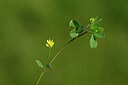 BUITEN BEELD Foto: 434353