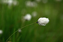 BUITEN BEELD Foto: 434360