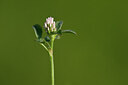 BUITEN BEELD Foto: 434366