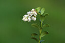 BUITEN BEELD Foto: 434387