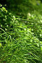 BUITEN BEELD Foto: 434395