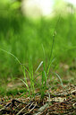 BUITEN BEELD Foto: 434403