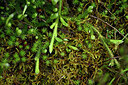 BUITEN BEELD Foto: 434519
