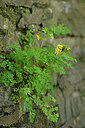 BUITEN BEELD Foto: 434520