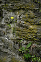 BUITEN BEELD Foto: 434527
