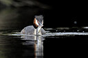BUITEN BEELD Foto: 434718