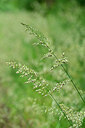 BUITEN BEELD Foto: 434834