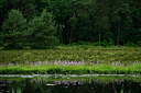 BUITEN BEELD Foto: 434855