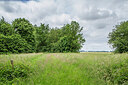 BUITEN BEELD Foto: 434898