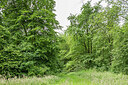 BUITEN BEELD Foto: 434899