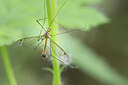 BUITEN BEELD Foto: 434901
