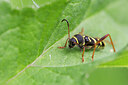 BUITEN BEELD Foto: 434902