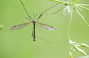 BUITEN BEELD Foto: 434905
