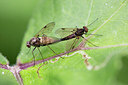 BUITEN BEELD Foto: 434910