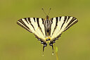 BUITEN BEELD Foto: 434922