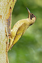 BUITEN BEELD Foto: 434927