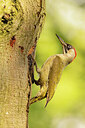 BUITEN BEELD Foto: 434929